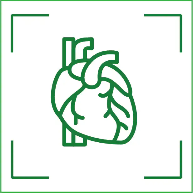 IRM cardiac