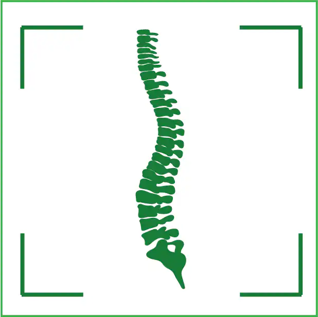 IRM coloana vertebrala